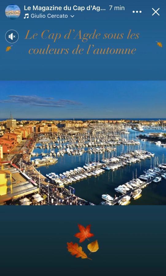 studio la grande roue VUE MAGNIFIQUE Agde Exterior foto